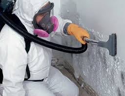 Best Emergency Mold Remediation  in Quail Creek, TX